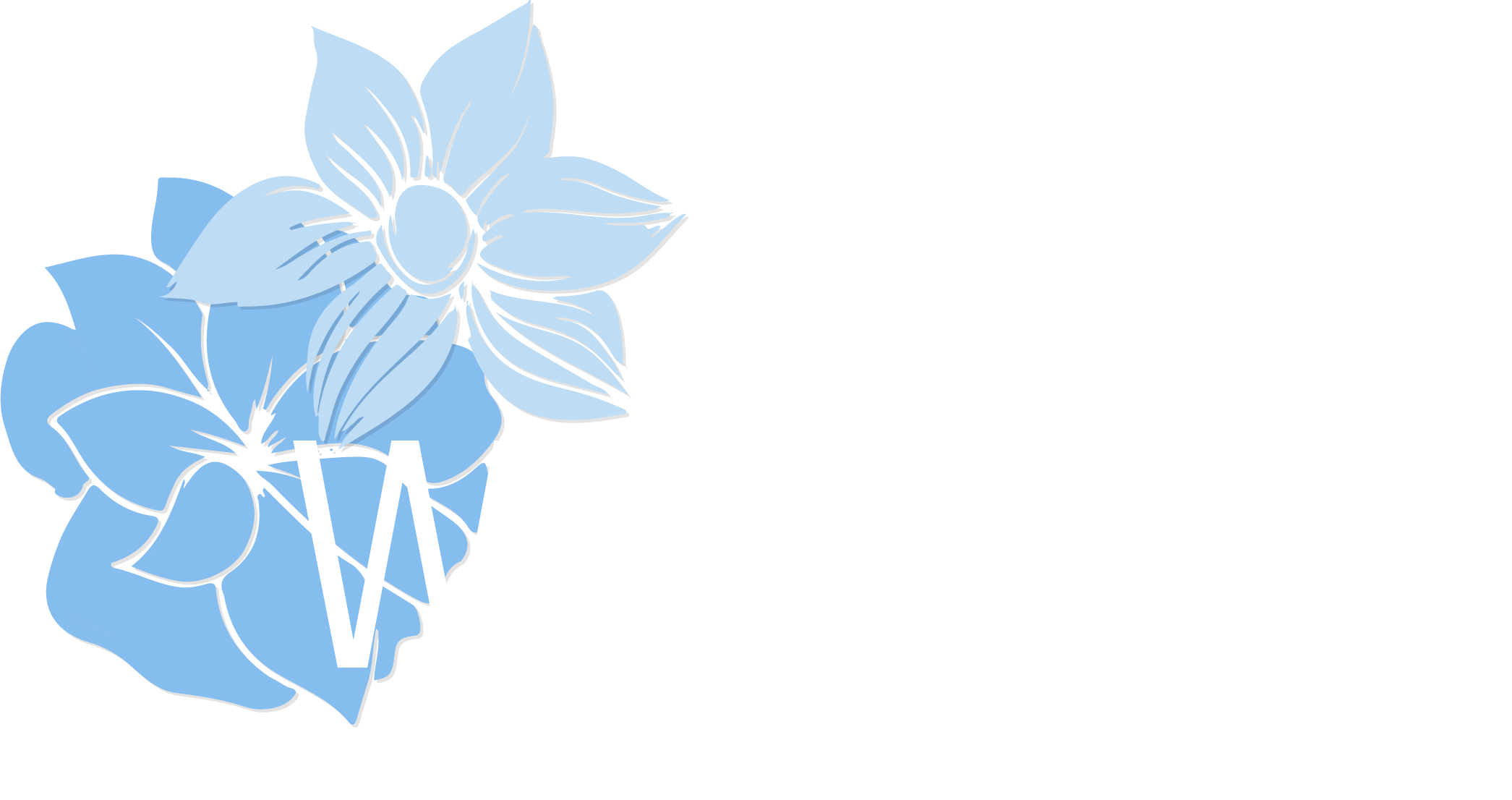 Town of Watertown
